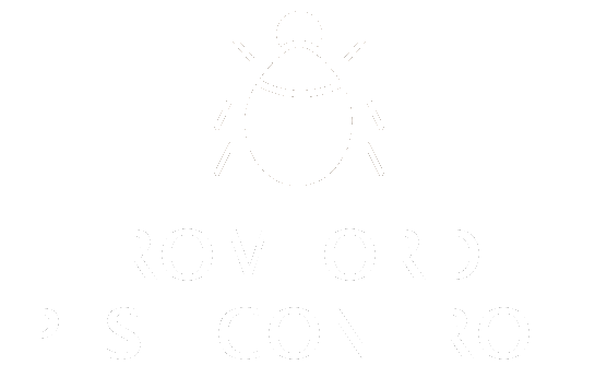 Romford Pest Control